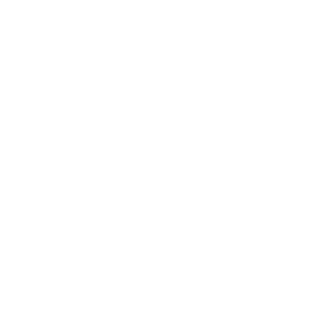 Ford Logo